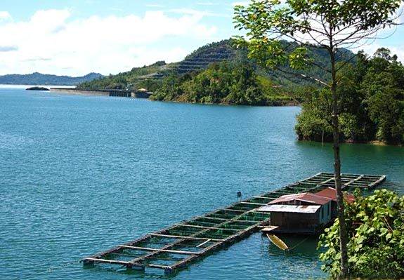 八塘涯湖 八塘涯湖