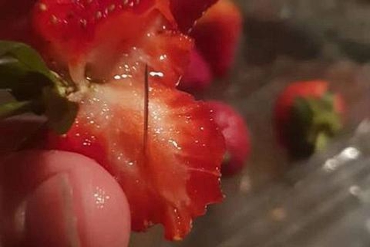 澳洲草莓藏針事件