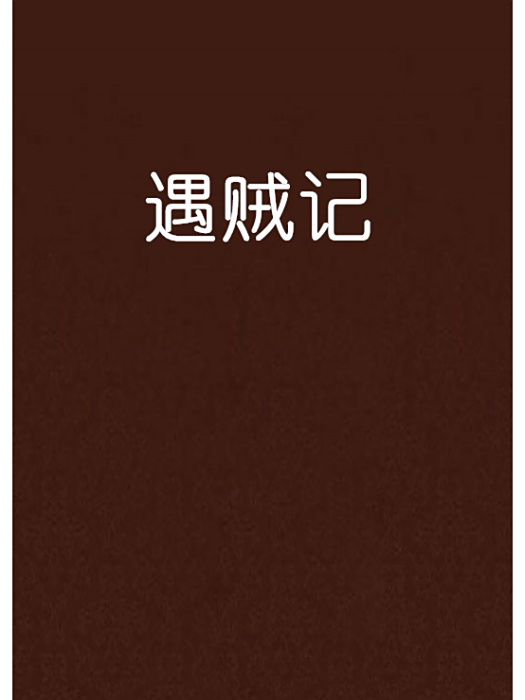 遇賊記 遇賊記