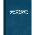 天道殘魂 天道殘魂