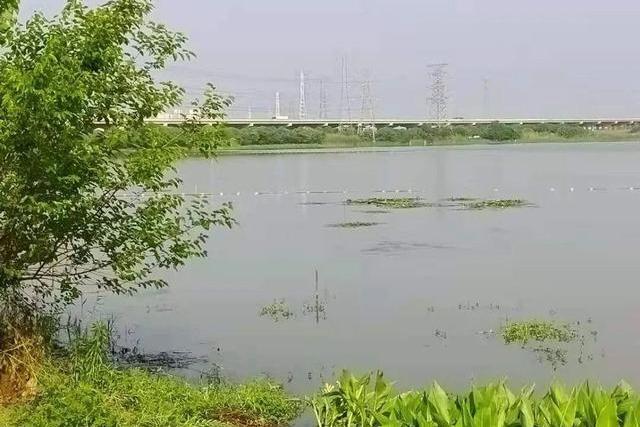 爛泥湖(湖北省武漢經濟技術開發區的湖泊) 爛泥湖(湖北省武漢經濟技術開發區的湖泊)
