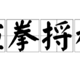 揎拳捋袖