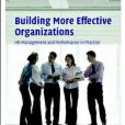 Building More Effective Organizations(2008年1月出版的圖書) Building More Effective Organizations(2008年1月出版的圖書)