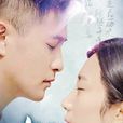 追愛(網劇) 追愛(網劇)