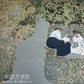 維亞爾(法國畫家) 維亞爾(法國畫家)
