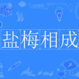 鹽梅相成 鹽梅相成