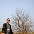 曾冬 曾冬