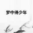 夢中得少年 夢中得少年
