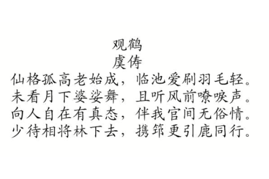 觀鶴 觀鶴