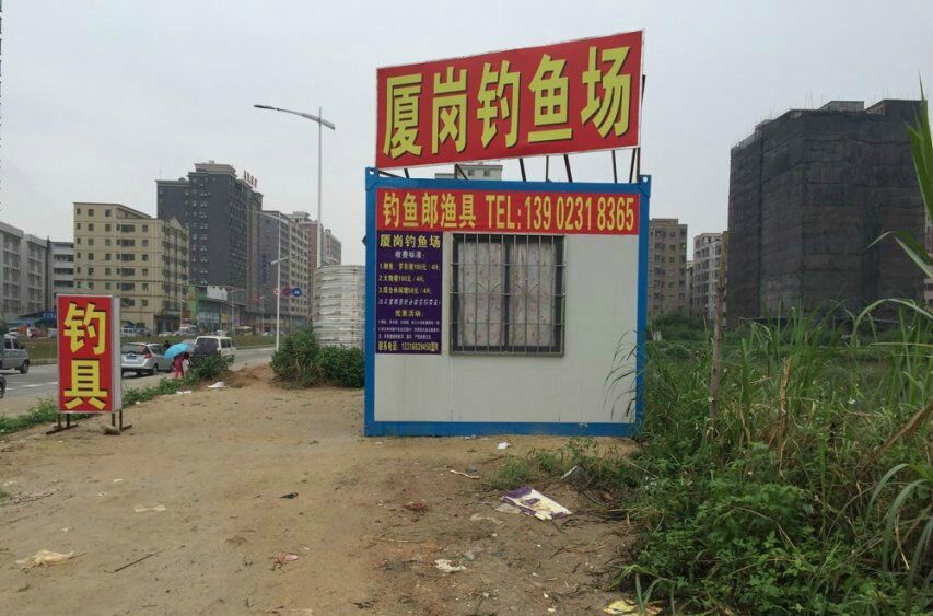 廈崗釣魚場 廈崗釣魚場