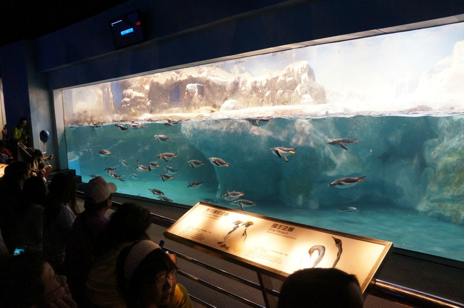 海洋生物博物館