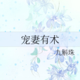 寵妻有術 寵妻有術