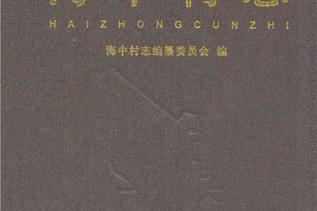 海口村志 海口村志