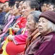 空巢憂鬱症 空巢憂鬱症