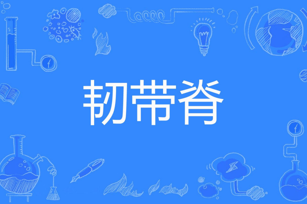 韌帶脊 韌帶脊