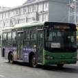 靖江公交228路 靖江公交228路