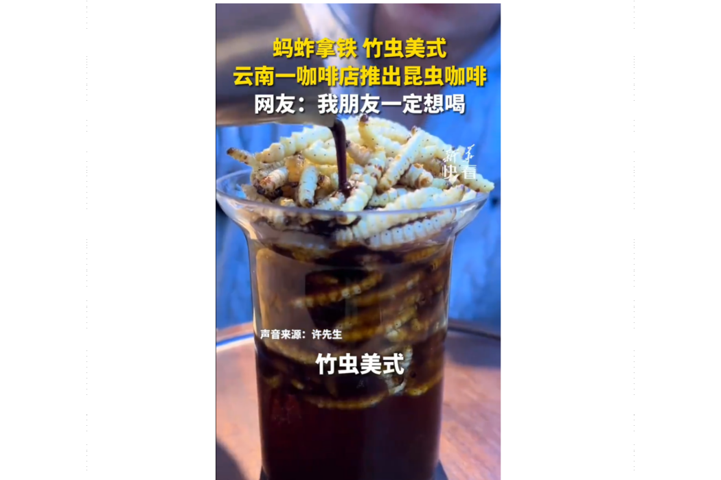竹蟲美式 竹蟲美式