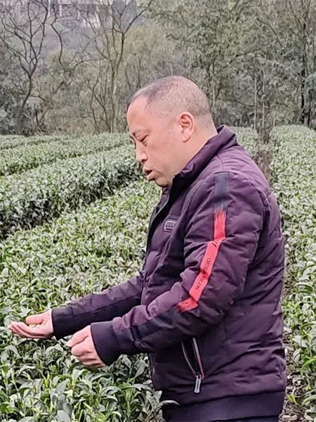 陳衍剛 陳衍剛