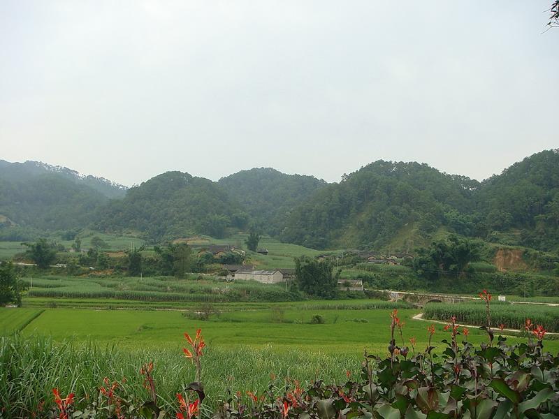 那小村 那小村