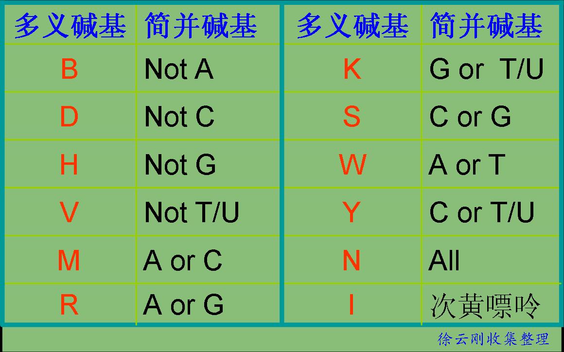 多義鹼基