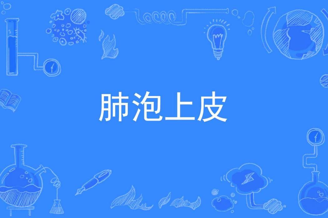 肺泡上皮 肺泡上皮