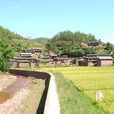 武村(浙江省麗水市蓮都區聯城街道下轄村) 武村(浙江省麗水市蓮都區聯城街道下轄村)