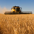 關於搞好小麥收穫期火災保險的意見