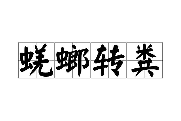 蜣螂轉糞 蜣螂轉糞