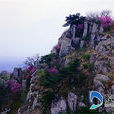 牙山(山東名山) 牙山(山東名山)