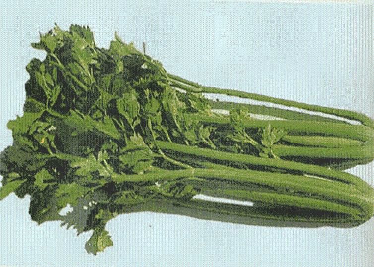 嵐芹 嵐芹