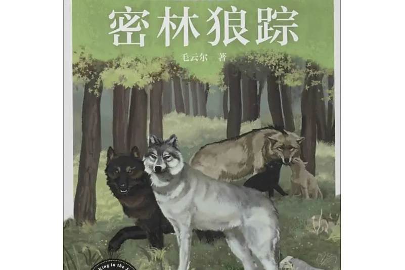 密林狼蹤 密林狼蹤