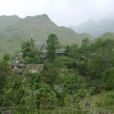 茨竹坪村(雲南省紅河州金平縣銅廠鄉下轄村) 茨竹坪村(雲南省紅河州金平縣銅廠鄉下轄村)