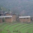 支鍋山村(雲南省楚雄市大過口鄉支鍋山村) 支鍋山村(雲南省楚雄市大過口鄉支鍋山村)