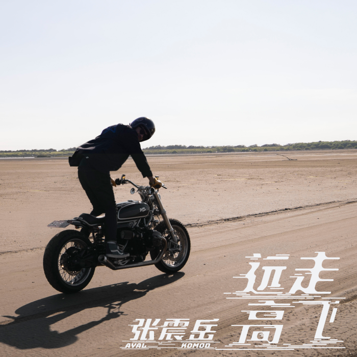 貪心(張震岳演唱歌曲) 貪心(張震岳演唱歌曲)