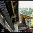 團山村(雲南建水縣西莊鎮下轄村) 團山村(雲南建水縣西莊鎮下轄村)