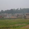 蒲田村(雲南省彌勒縣巡檢司鎮蒲田村)