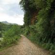 香羅坪村 香羅坪村