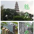 興業縣(興業（玉林市下轄縣）)