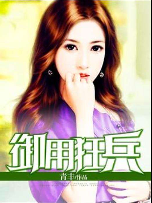 御用狂兵(青豐所著小說)