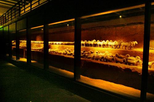 帝陵外藏坑遺址保護展示廳