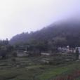 樹渣村 樹渣村