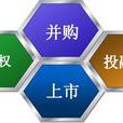 虛擬股權 虛擬股權
