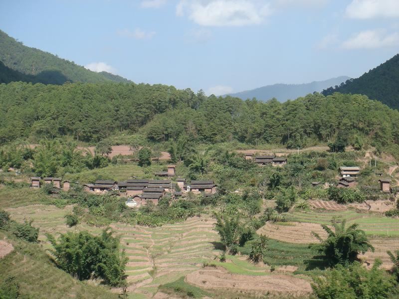綠葉村 綠葉村