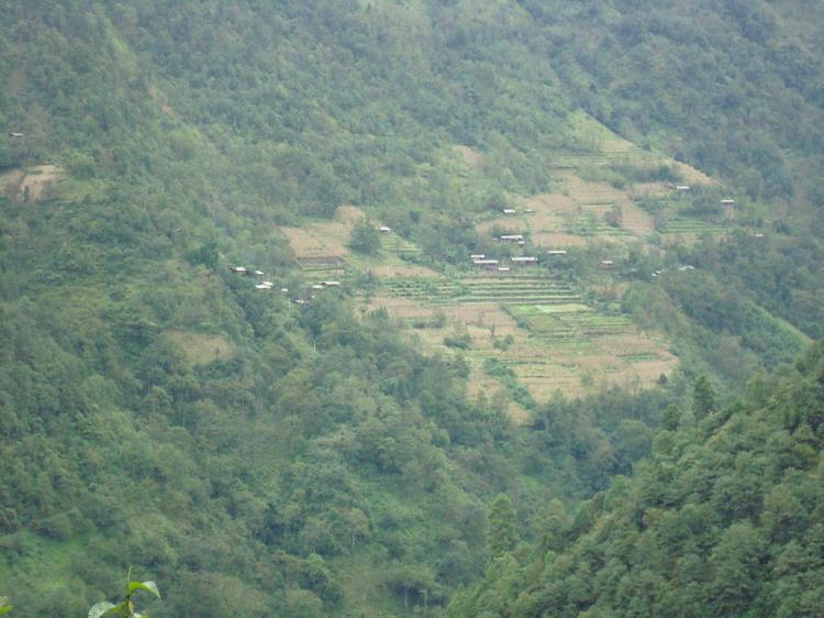 珠利當村 珠利當村
