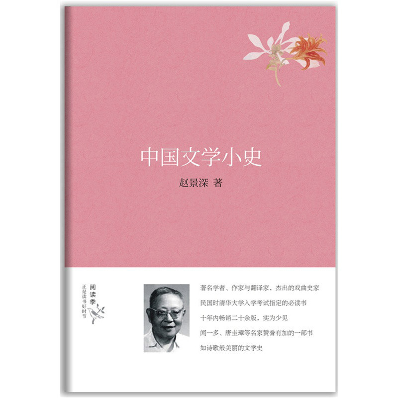 中國文學小史(2015年華中科技大學出版社出版書籍)