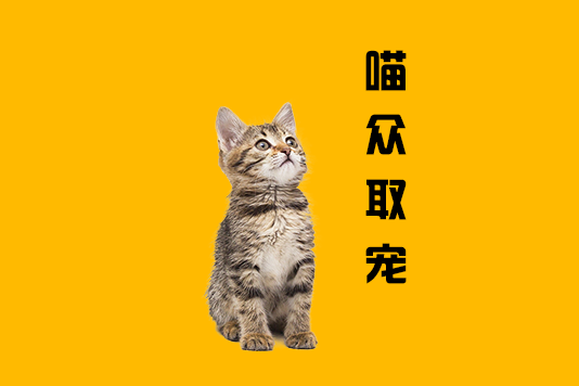 喵眾取寵