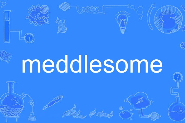 meddlesome meddlesome
