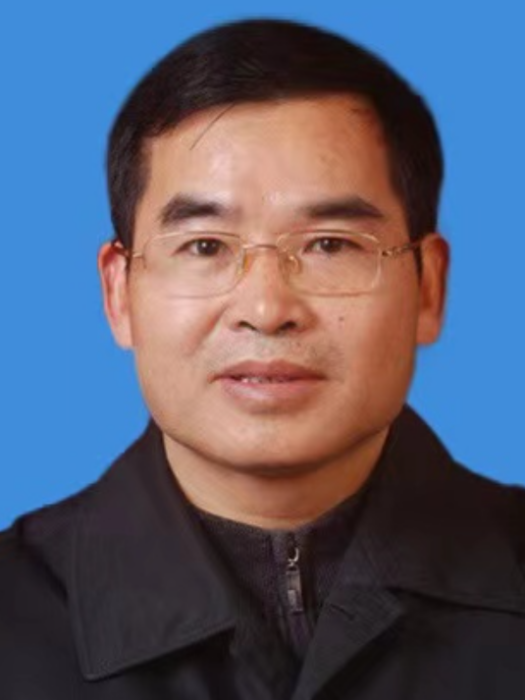 陳新平(湖南省湘潭市雨湖區審計局黨組副書記、副局長) 陳新平(湖南省湘潭市雨湖區審計局黨組副書記、副局長)