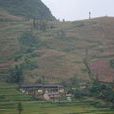 老麻固村 老麻固村