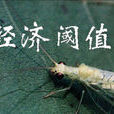 經濟閾值 經濟閾值